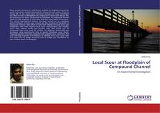 Обложка Local Scour at Floodplain of Compound Channel