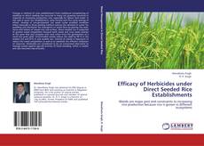 Buchcover von Efficacy of Herbicides under Direct Seeded Rice Establishments