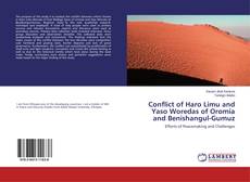 Conflict of Haro Limu and Yaso Woredas of Oromia and Benishangul-Gumuz kitap kapağı
