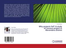 Buchcover von Why projects fail? A study of cassava project in Marondera District