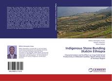 Indigenous Stone Bunding (Kab)in Ethiopia kitap kapağı