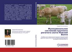 Функциональное состояние крупного рогатого скота Нижней Волги的封面