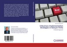 E-Business Implementation Strategies in Kenyan Firms kitap kapağı