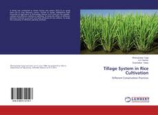 Tillage System in Rice Cultivation的封面