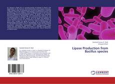 Buchcover von Lipase Production from Bacillus species