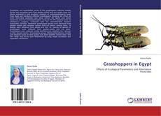Capa do livro de Grasshoppers in Egypt 