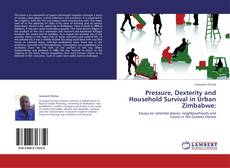 Bookcover of Pressure, Dexterity and Household Survival in Urban Zimbabwe: