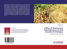 Capa do livro de Effect of Fluorescent Pseudomonas on the Growth of Chickpea 