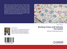 Bookcover of Banking Crises and Industry Formation