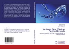 Unsteady Flow Effect on Pipeline Networks kitap kapağı
