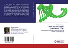 Capa do livro de Gene Pyrmiding in Sugarcane Crop 