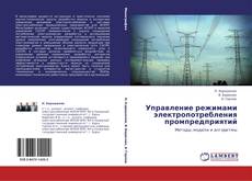 Borítókép a  Управление режимами электропотребления промпредприятий - hoz