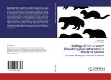 Bookcover of Biology of sinus worm (Skrjabingylus) infections in Mustelid species