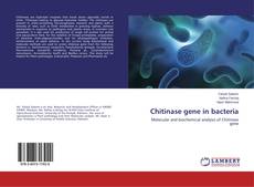 Buchcover von Chitinase gene in bacteria