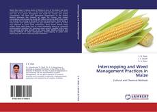 Capa do livro de Intercropping and Weed Management Practices in Maize 