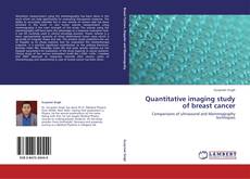 Couverture de Quantitative imaging study of breast cancer