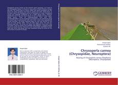 Обложка Chrysoperla carnea (Chrysopidae, Neuroptera)