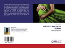 Maternal Heath Care Services kitap kapağı