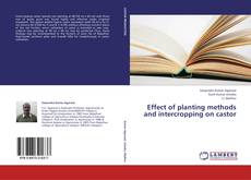 Buchcover von Effect of planting methods and intercropping on castor