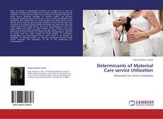 Determinants of Maternal Care service Utilization的封面