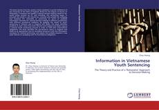 Bookcover of Information in Vietnamese Youth Sentencing