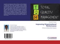 Bookcover of Improving Organizational Performance