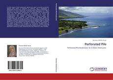 Bookcover of Perforated Pile