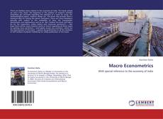 Bookcover of Macro Econometrics