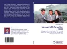 Buchcover von Managerial Information Needs