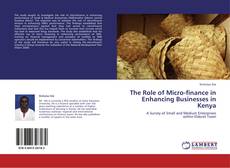 Borítókép a  The Role of Micro-finance in Enhancing Businesses in Kenya - hoz