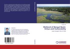 Buchcover von Wetland of Bengal Basin: Virtue and Vulnerability