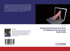Examining Privacy Practices of Websites Using Large Scale Data kitap kapağı