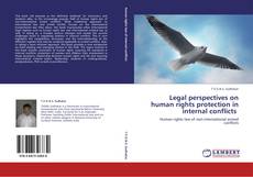 Portada del libro de Legal perspectives on human rights protection in internal conflicts