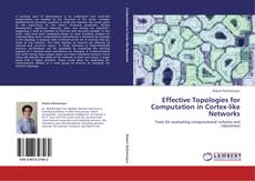 Bookcover of Effective Topologies for Computation in Cortex-like Networks
