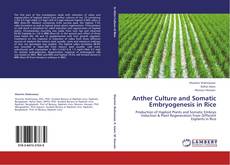 Anther Culture and Somatic Embryogenesis in Rice kitap kapağı