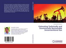 Bookcover of Estimating Technically and Economically Recoverable Unconventional Gas