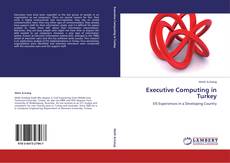 Executive Computing in Turkey kitap kapağı