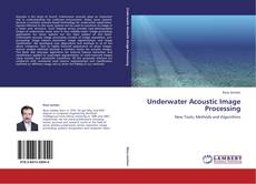 Underwater Acoustic Image Processing的封面