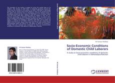 Socio-Economic Conditions of Domestic Child Laborers的封面