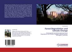 Forest Degradation and Climate Change kitap kapağı