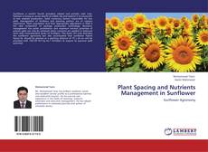 Plant Spacing and Nutrients Management in Sunflower kitap kapağı