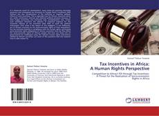 Tax Incentives in Africa:  A Human Rights Perspective kitap kapağı