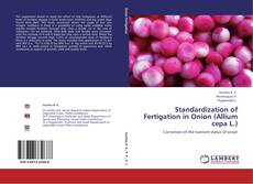 Bookcover of Standardization of Fertigation in Onion (Allium cepa L.)