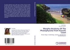 Morpho-Anatomy Of The Phaeophycota From Karachi Coast kitap kapağı