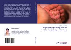 Capa do livro de Engineering Family Values 