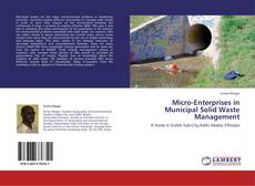 Bookcover of Micro-Enterprises in Municipal Solid Waste Management