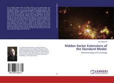 Copertina di Hidden Sector Extensions of the Standard Model: