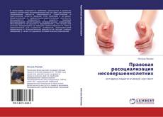 Bookcover of Правовая ресоциализация несовершеннолетних