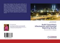 Copertina di Audit Committee's Effectiveness and Financial Reporting Quality
