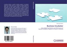 Business Incubator kitap kapağı
